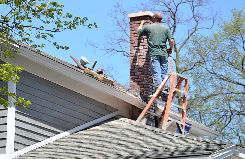 Chimney & Fireplace Inspections Services in Reading, PA